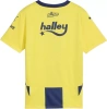 FSK Home Jersey Replica Jr speed yellow-blue violet r. 176
